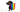 Celebrating Pride Month in June: Including Your Dog in the Festivities