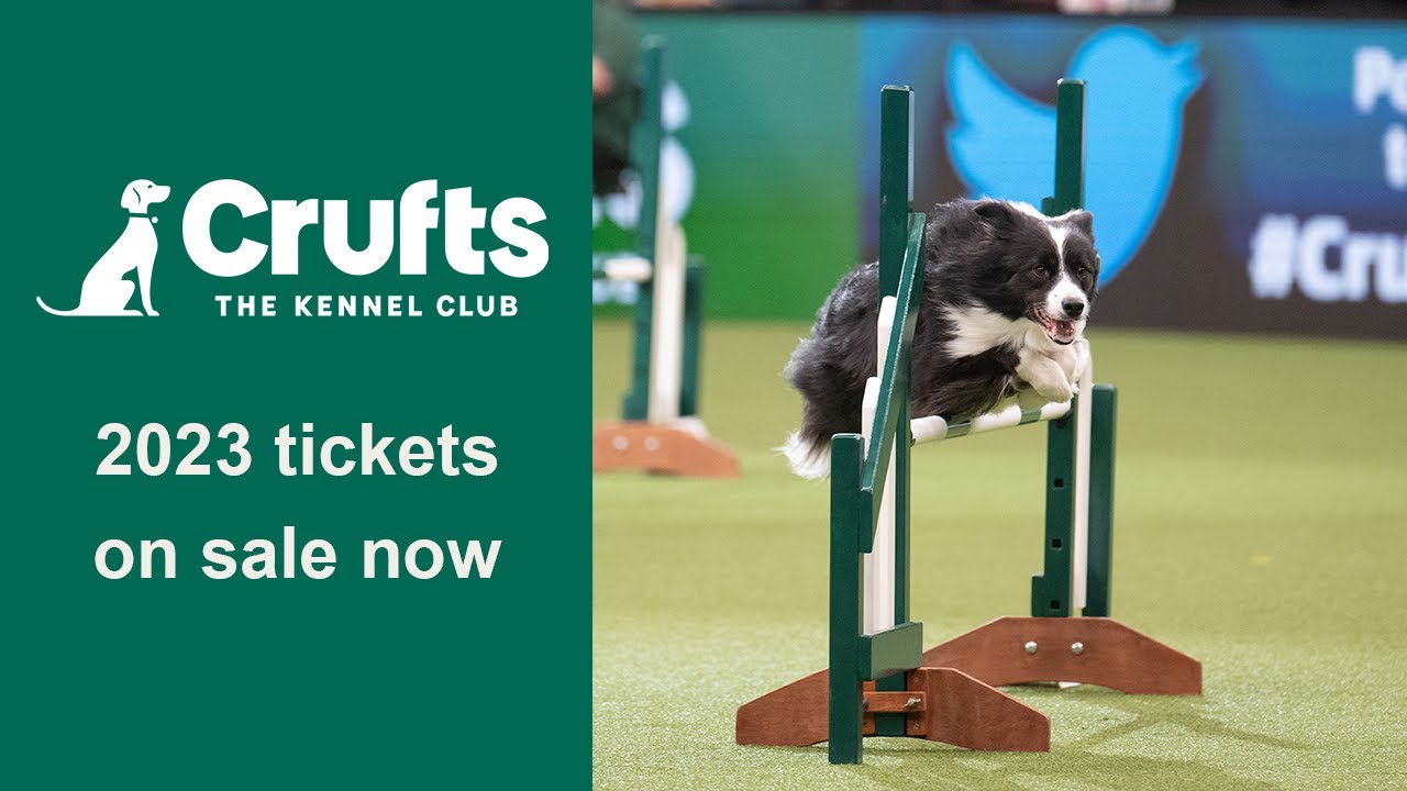 Be 'Best in Show' this year Hugo & Hudson London