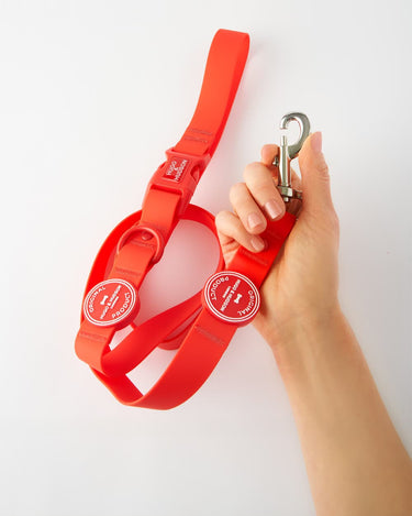 Waterproof Dog Lead - Red In Use