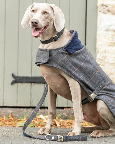 Grey Checked Herringbone Tweed Dog Lead Lifestyle