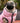 Reversible Dog Puffer Jacket - Light Pink and Grey Lifestyle