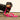 Pink Luxury Tweed Lead