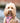 Fabric Dog Collar - Pink Watermelon