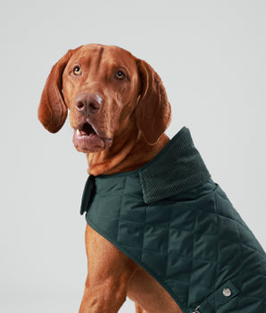 Forest Green Quilted Dog Jacket