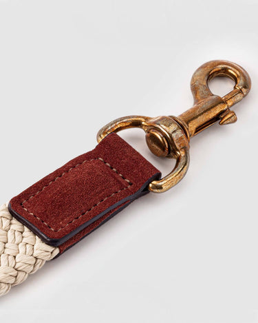 Flat Rope and Leather Dog Lead - Brown Hook