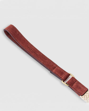 Flat Rope and Leather Dog Lead - Brown Handle