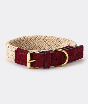 Flat Rope and Leather Dog Collar - Burgundy