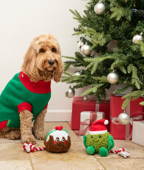 Christmas Pudding Dog Toy