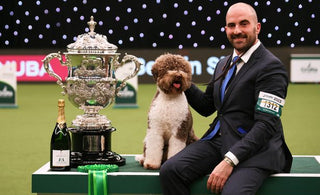Orca the Lagotto Romagnolo wins 'Best in Show' at Crufts 2023!