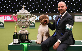 Orca the Lagotto Romagnolo wins 'Best in Show' at Crufts 2023!