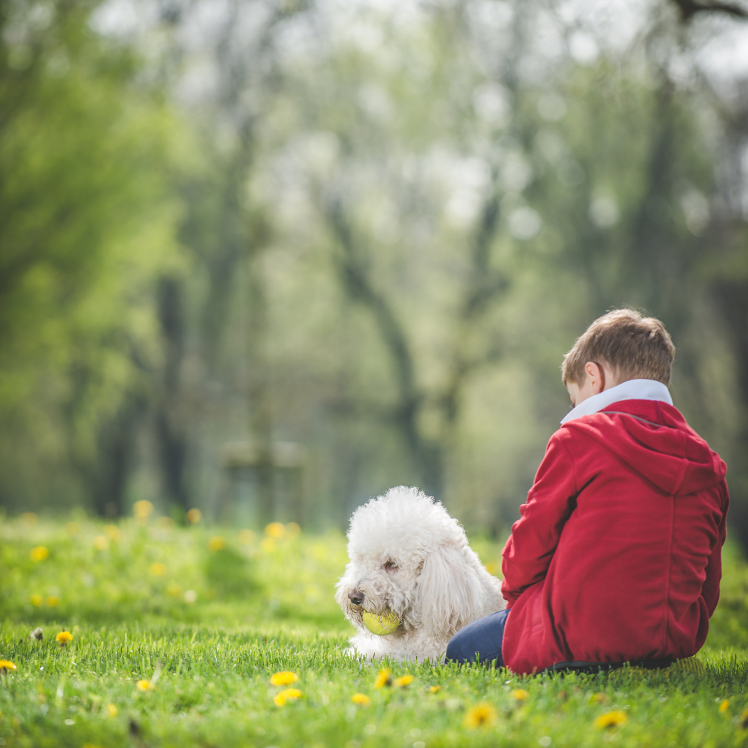 Helping Your Pup Beat the BacktoSchool Blues Hugo & Hudson London