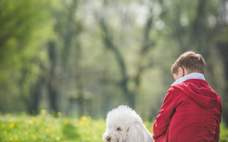 Helping Your Pup Beat the Back-to-School Blues