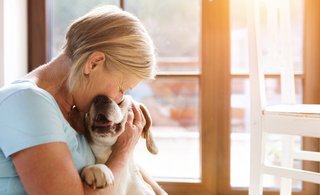 Finding Comfort and Companionship with Dogs on World Menopause Day