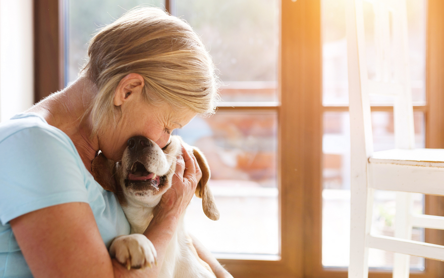 Finding Comfort and Companionship with Dogs on World Menopause Day