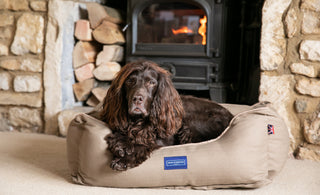 Dog Friendly UK Staycations