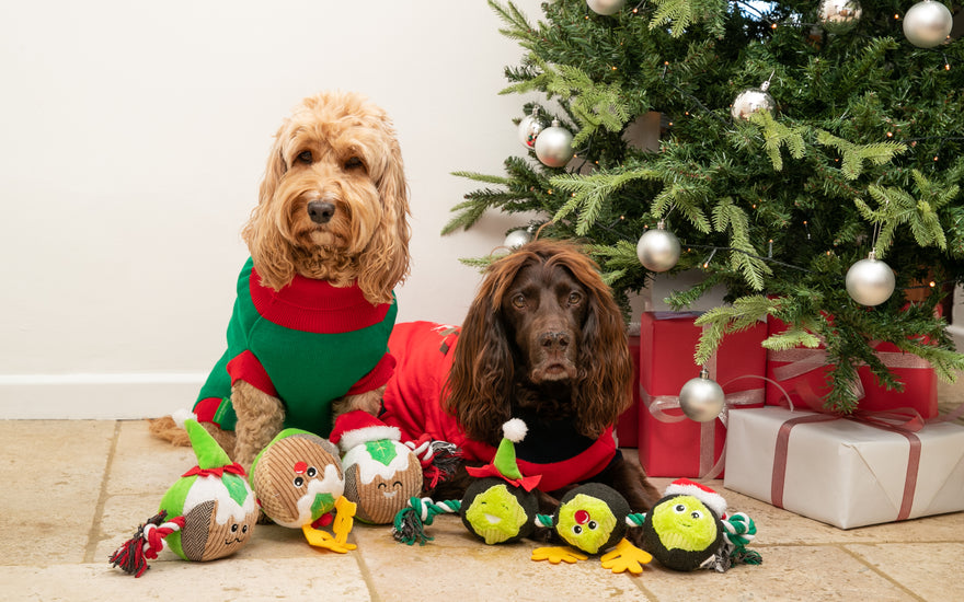Pet Proofing your home for Christmas!