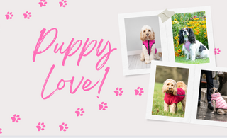 Gifts for your Paw-lentine