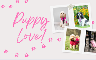 Gifts for your Paw-lentine