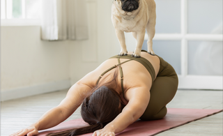 Celebrate National Yoga Day with Your Furry Friend: Dog Yoga