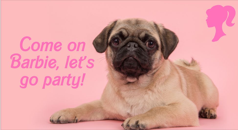 Barbie online with pug