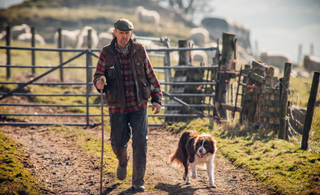 Celebrating National Farmers Day: The Indispensable Role of Farm Dogs