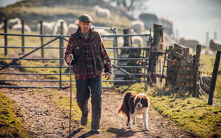 Celebrating National Farmers Day: The Indispensable Role of Farm Dogs