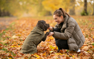Love Your Pet Day: Celebrating the Wonders of Our Beloved Companions!