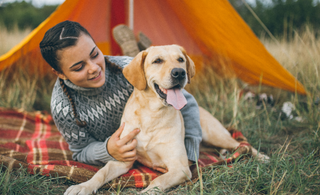 Celebrating National Camping Month: A Perfect Holiday for You and Your Dog