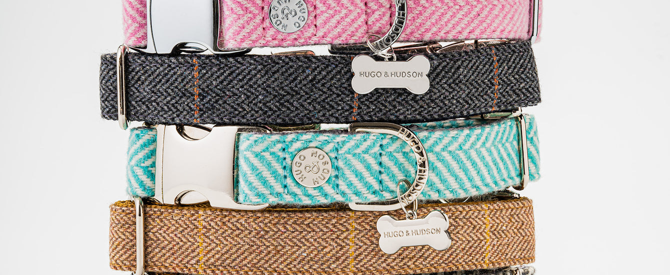 Choosing the right dog collar Hugo & Hudson London