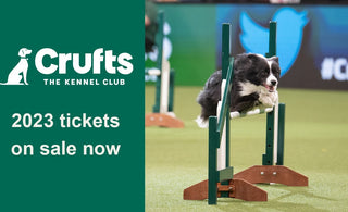 Be 'Best in Show' this year