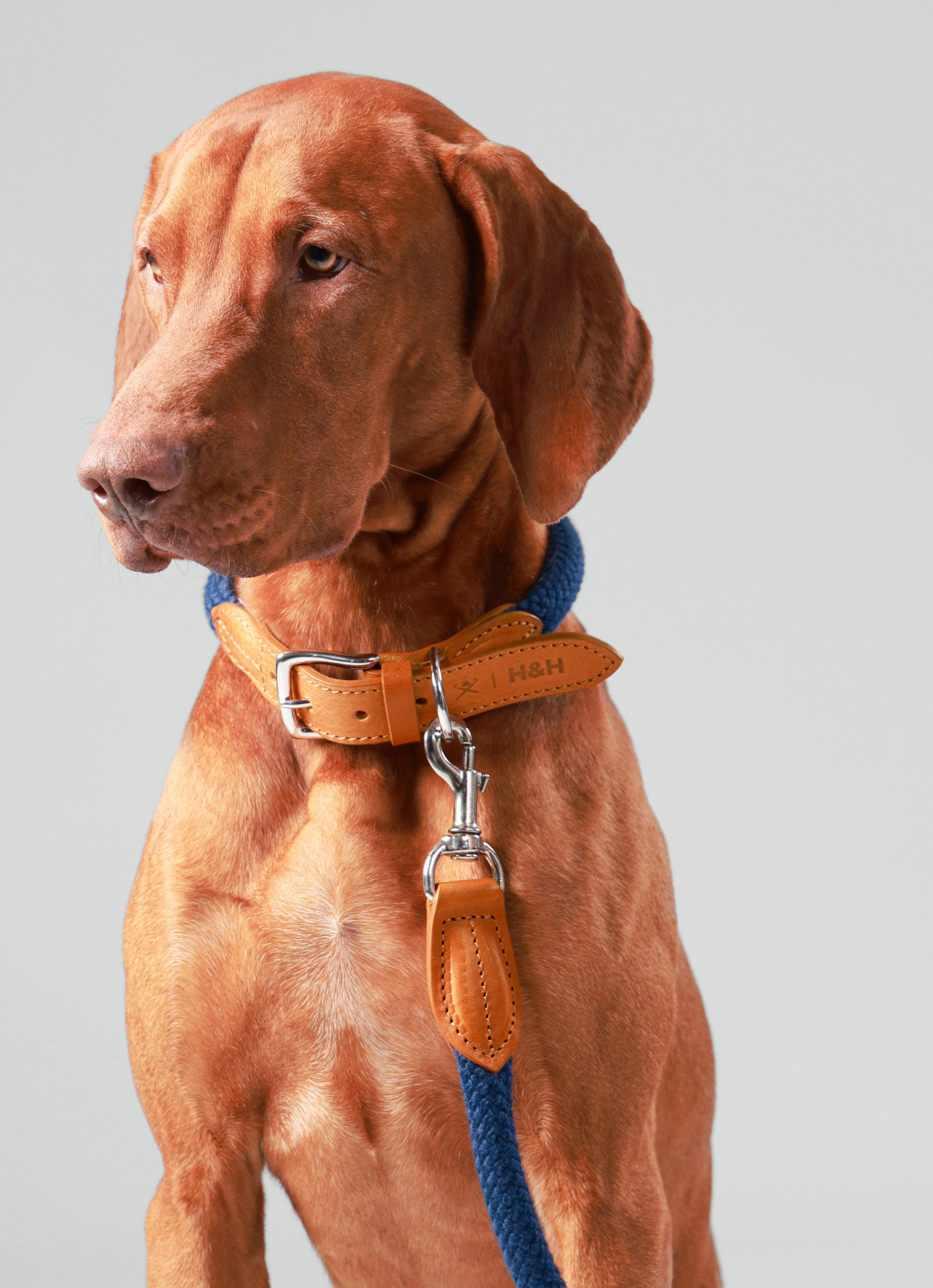 Hugo & Hudson x Hackett Dog Lead Hugo & Hudson London