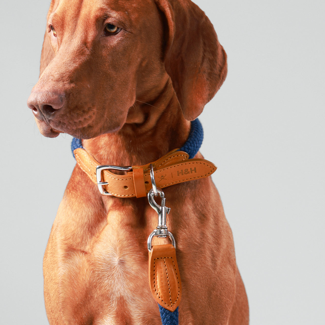 Hackett Hugo & Hudson London