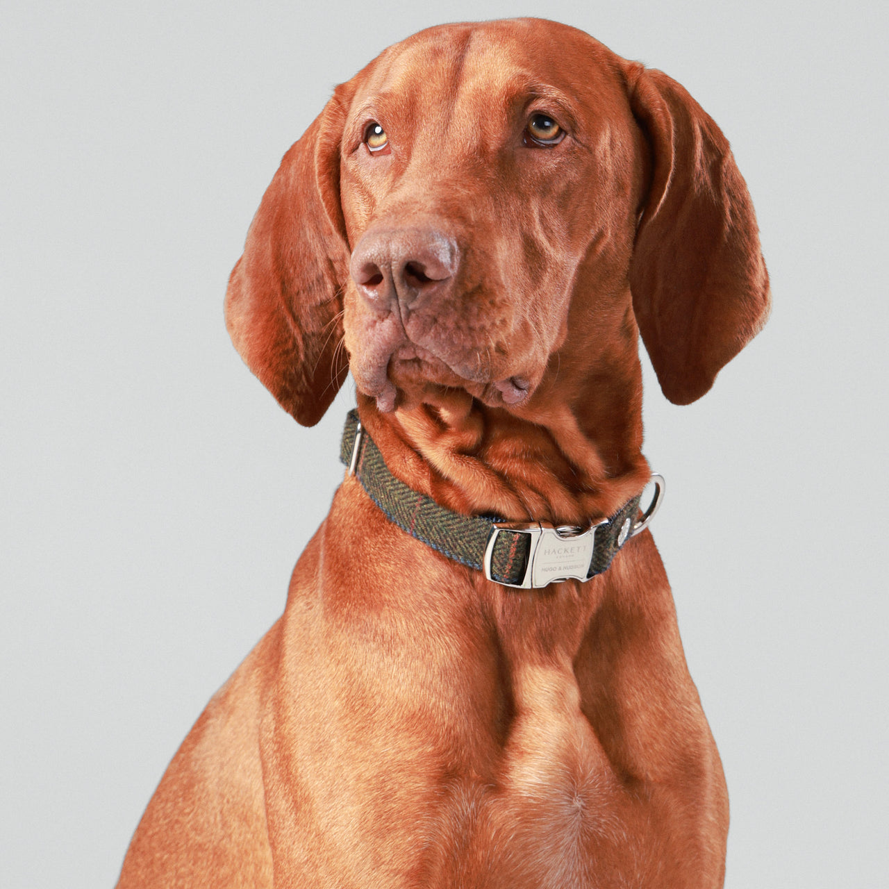 Hackett Hugo & Hudson London