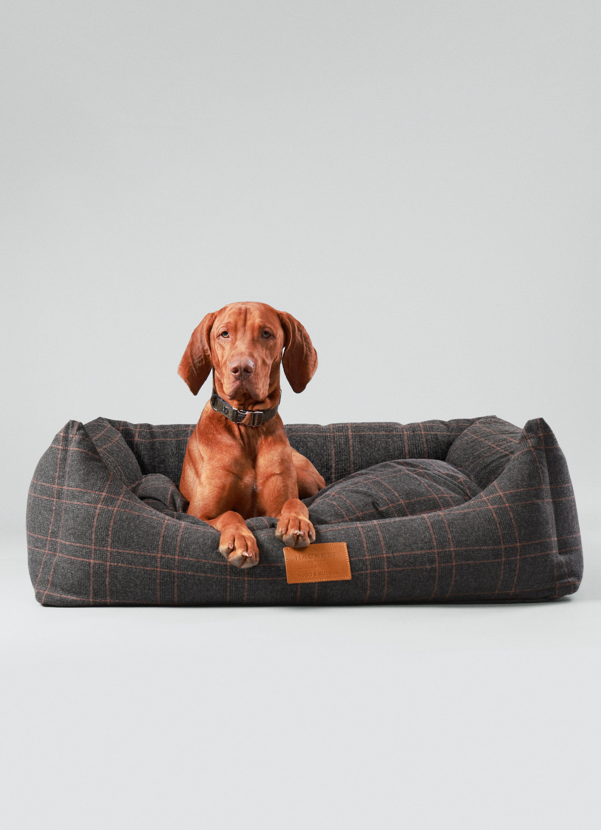 Hugo & Hudson x Hackett Dog Beds Hugo & Hudson London