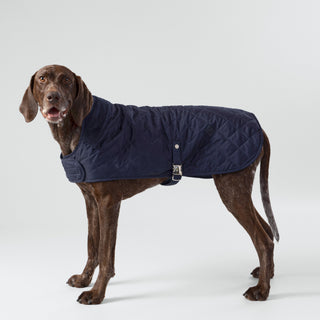 Hugo & Hudson x Hackett Quilted Dog Jacket