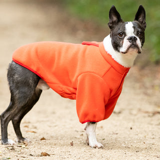 Dog Jackets