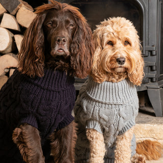 Dog Jumpers & Sweaters