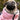 Reversible Dog Puffer Jackets
