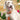 View all dog collars