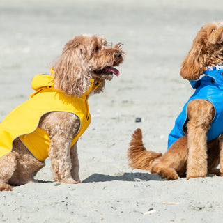 Waterproof Dog Raincoats