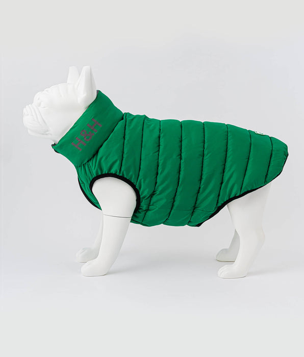 Luxury Dog Apparel and Accessories Hugo & Hudson London