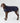 Navy Quilted Dog Jacket Studio Shoot