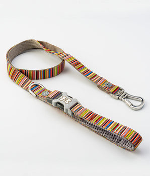 Striped Multi-colour Fabric Dog Lead