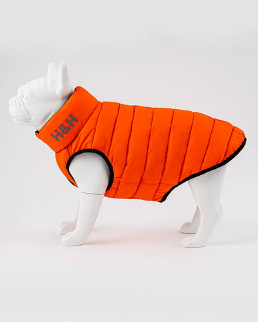 Orange and Navy Dog Puffer Jacket Hugo Hudson London