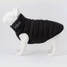 Reversible Dog Puffer Jacket - Black and Grey
