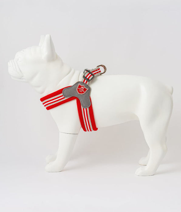 Easy Walk V Dog Harness Hugo & Hudson London