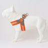 Easy Walk V Dog Harness - Orange