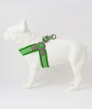 Easy Walk V Dog Harness - Green