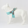 Easy Walk V Dog Harness - Aqua