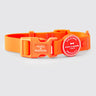 Waterproof Dog Collar - Orange